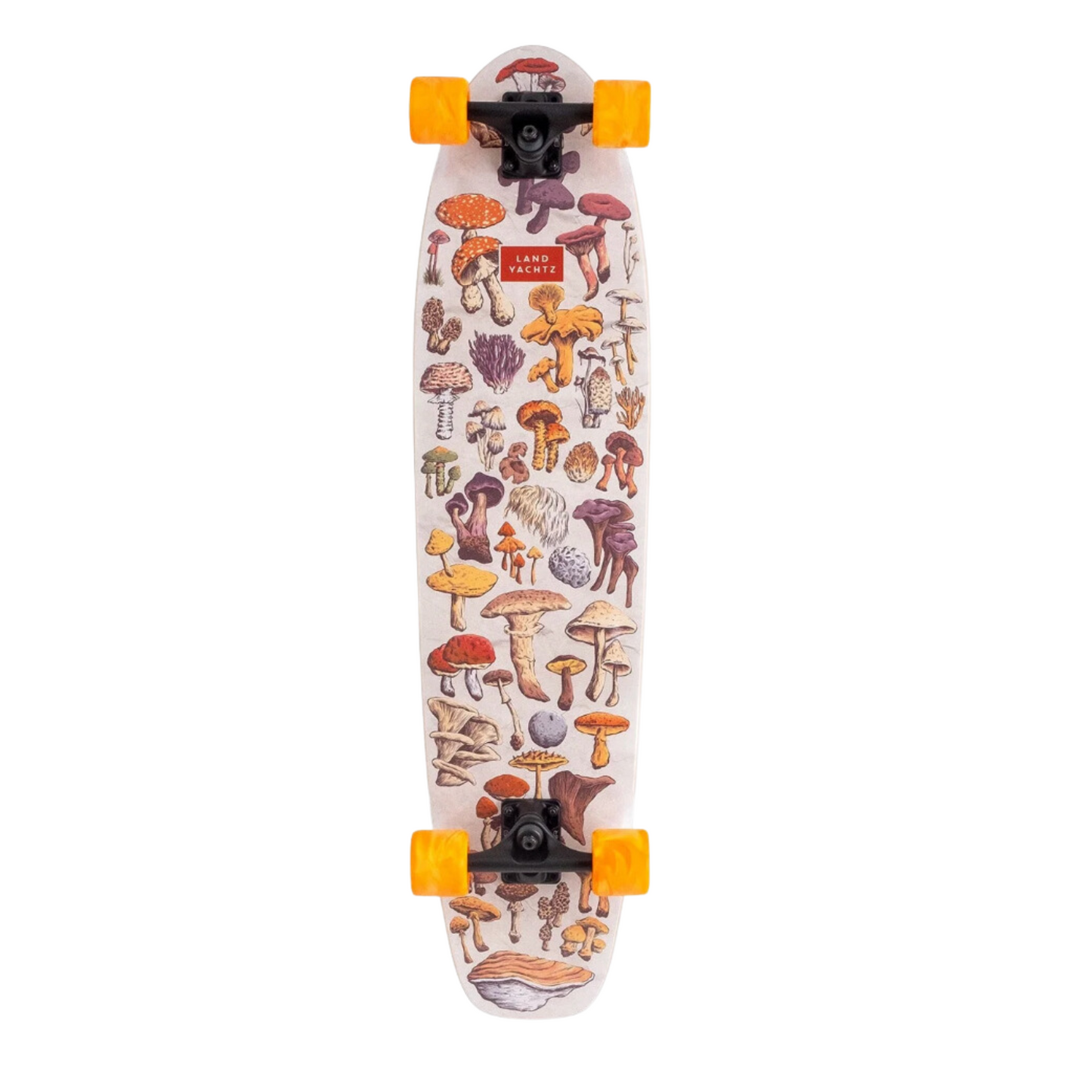 Ripper - Forager Landyachtz Complete